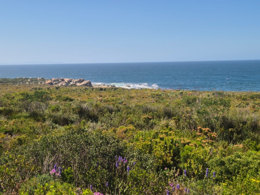 0 Bedroom Property for Sale in Bettys Bay Western Cape